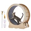 Cat Exercise Wheel, Large Cat Treadmill Wheel for Indoor Cats