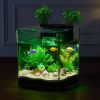 Fish Tank Aquarium, 2 Gallon Arch Ultra-Clear GPPS Starter Smart Tank Adjustable 3 Color Lighting