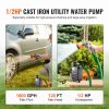 Cast Iron Water Transfer Pump, 115V AC 1600 GPH 1/2HP, Portable Electric Utility Pump with Carbon Brush, Filter, Brass Connectors, for Garden