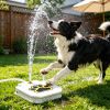 Step Activated Dog Water Dispenser, Outdoor Pet Drinking Fountain with 2-Way Water Splitter, Iron Build for Backyard Garden Use