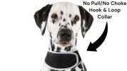 Realtime GPS Dog Collar High Rated Reviews Pet Location Finder w/ App Size:L